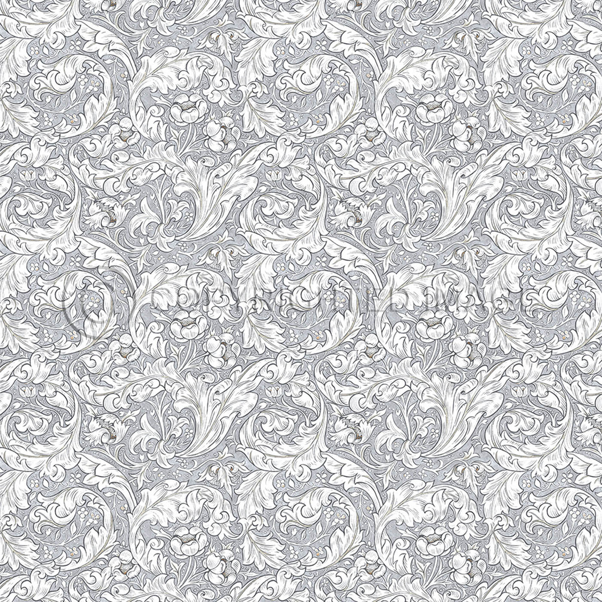 Bachelors Button Chalk 72x72