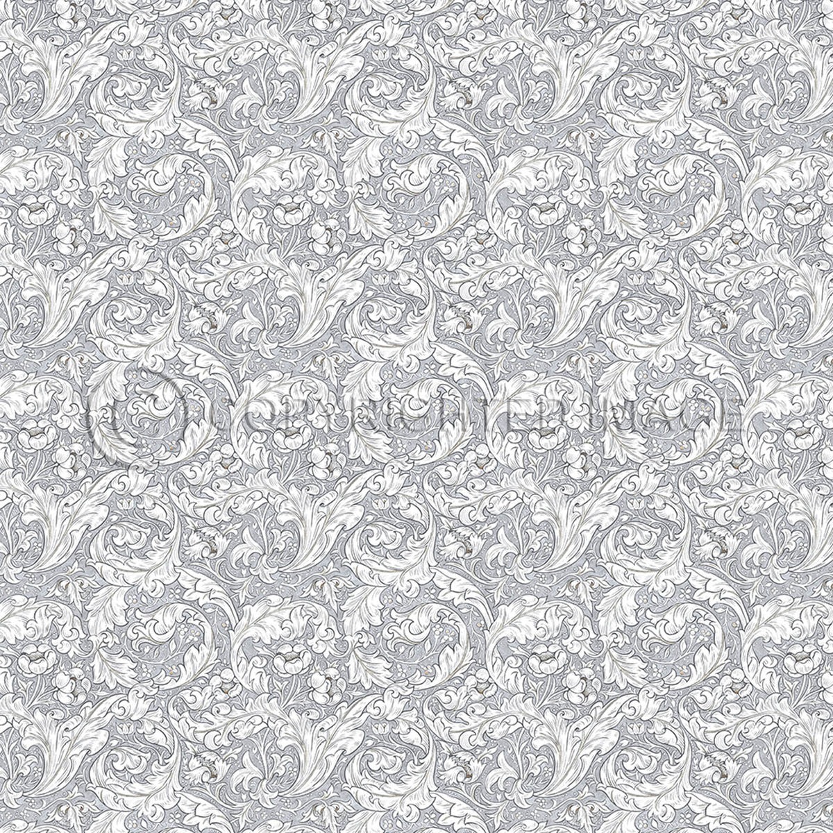 Bachelors Button Chalk 96x96