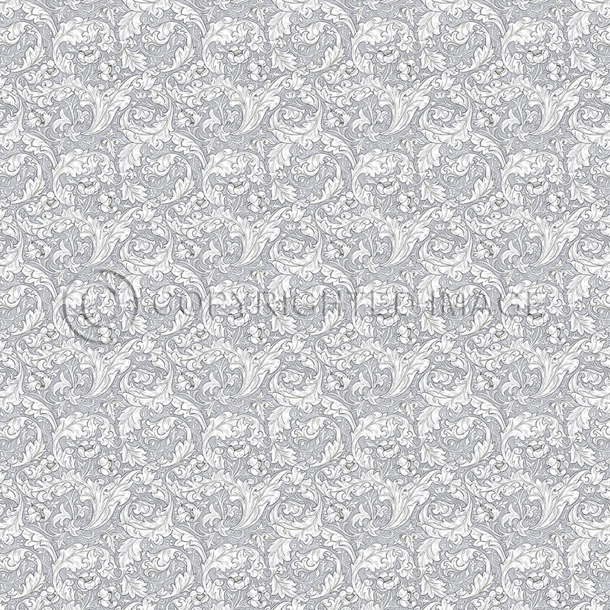 Bachelors Button Chalk 120x120