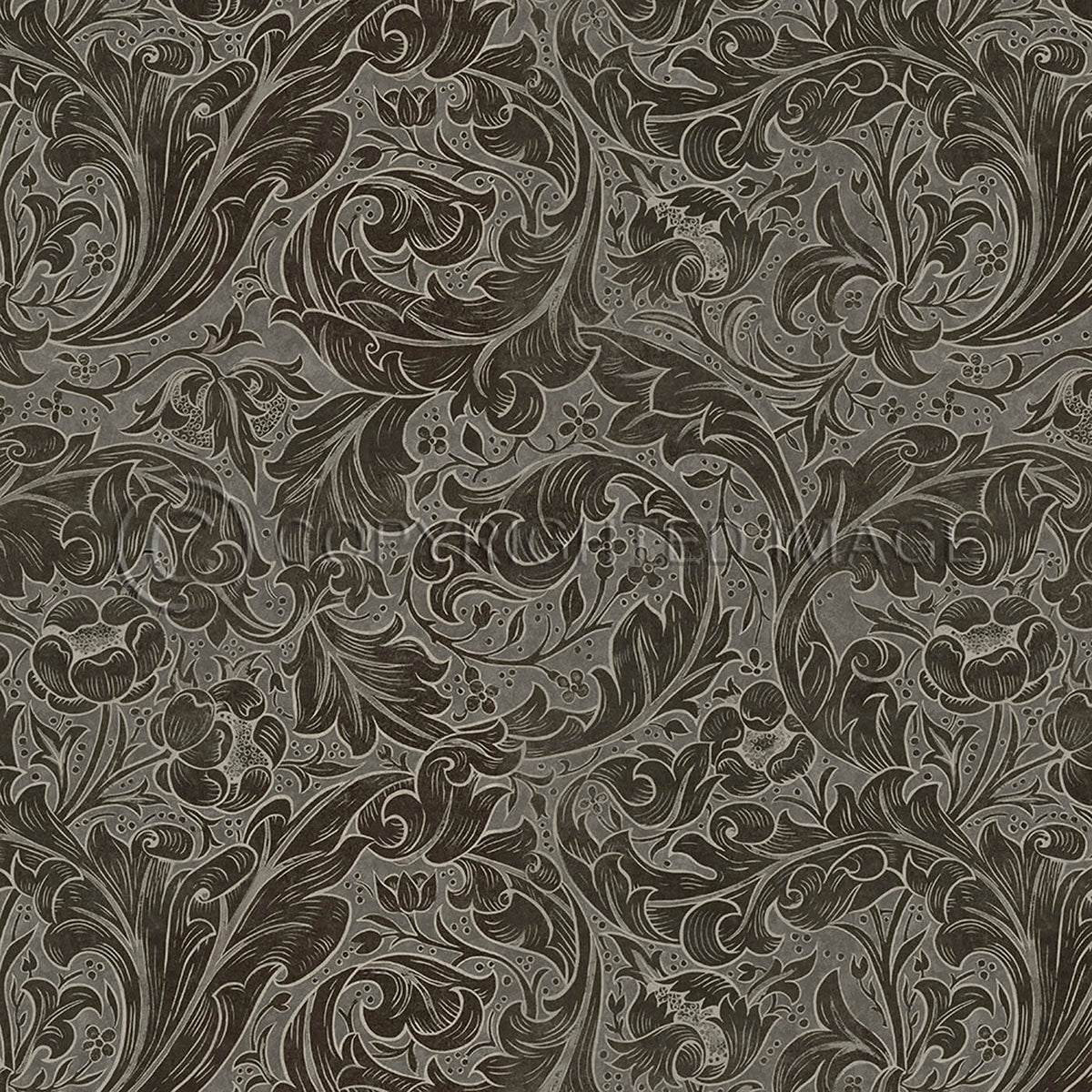 Bachelors Button Charcoal 36x36