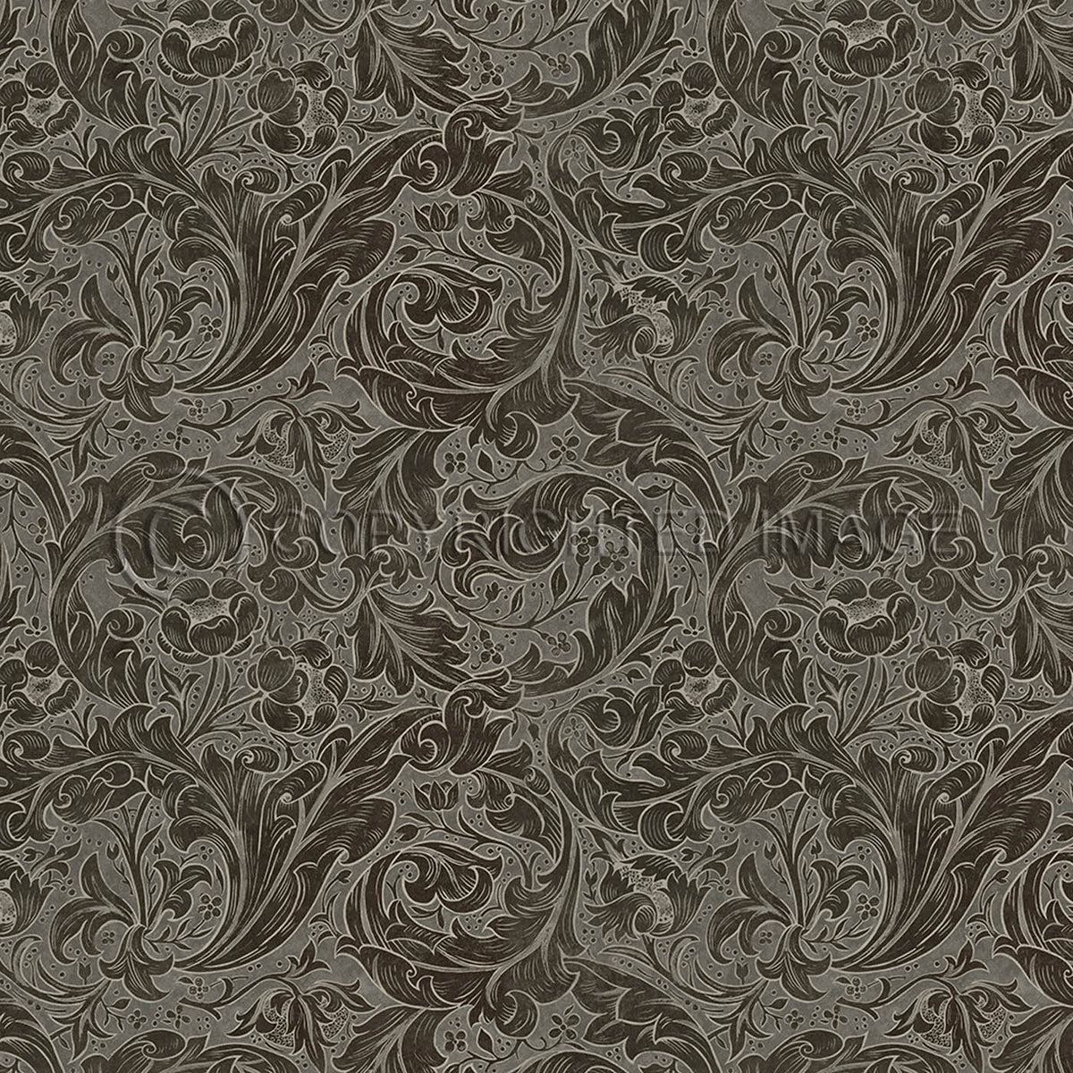 Bachelors Button Charcoal 48x48