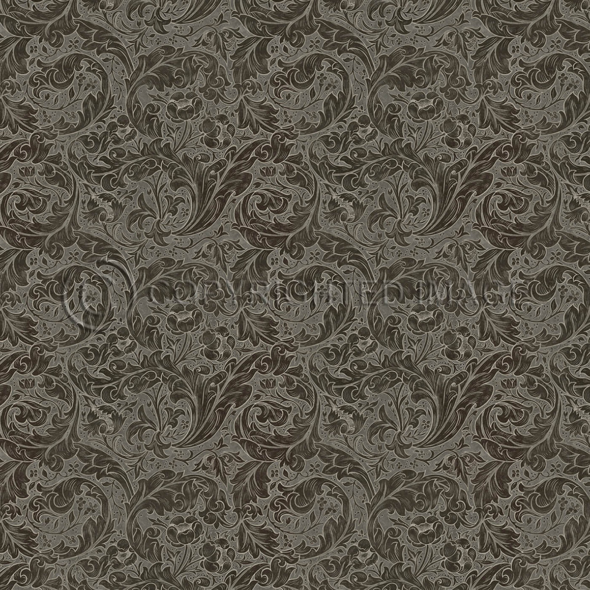 Bachelors Button Charcoal 72x72