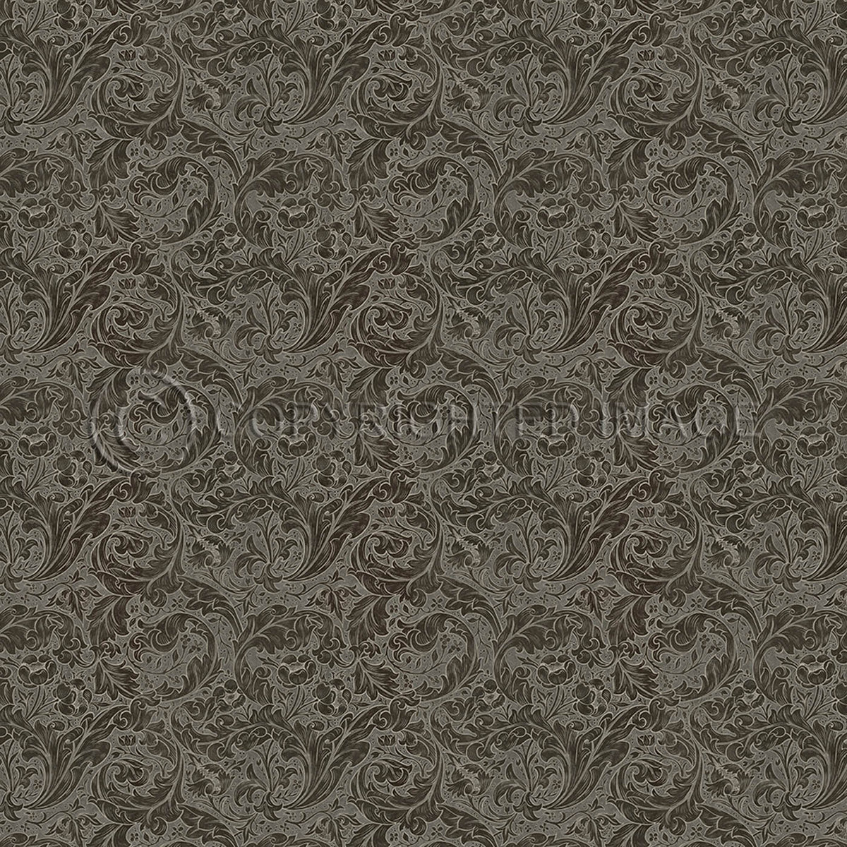 Bachelors Button Charcoal 96x96