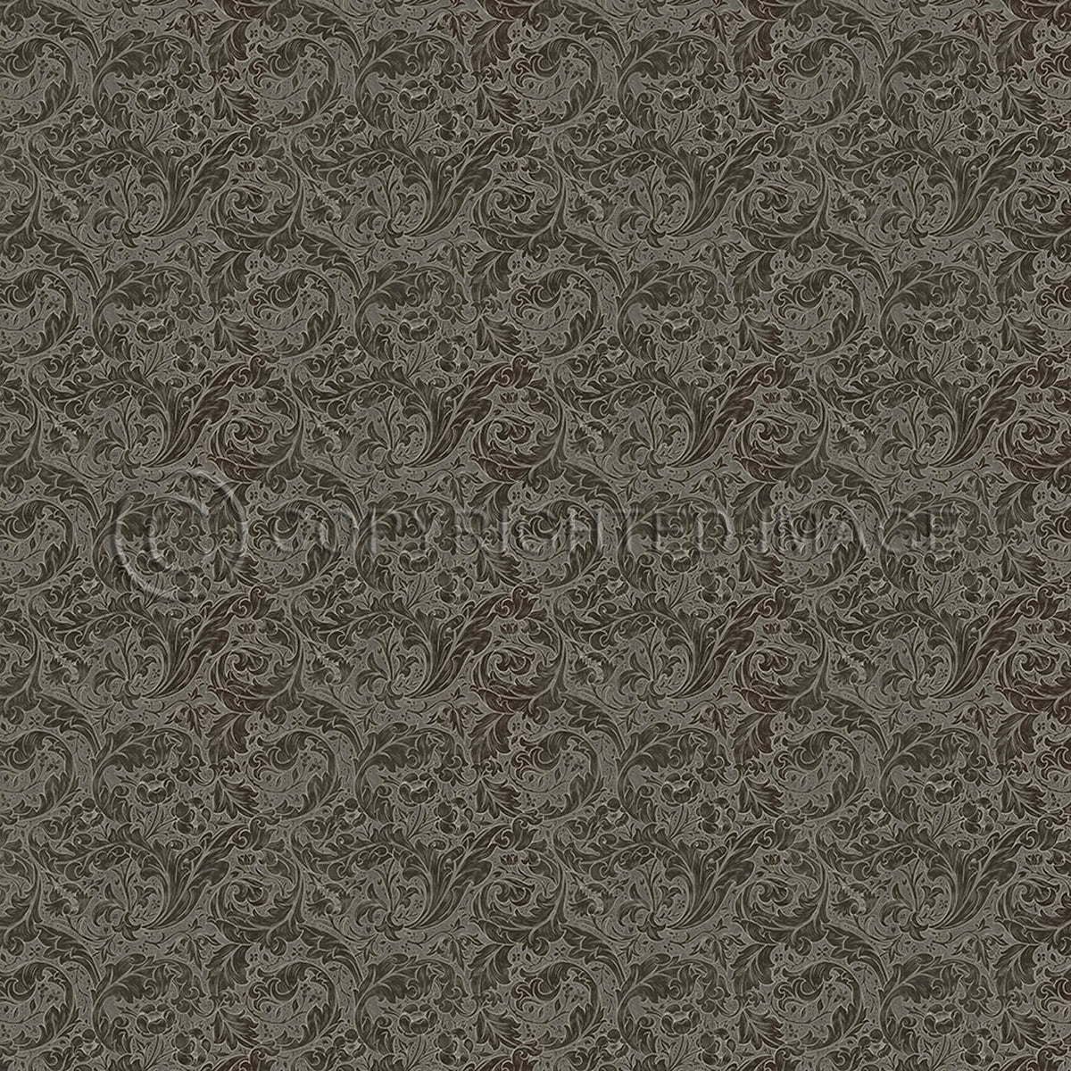 Bachelors Button Charcoal 120x120