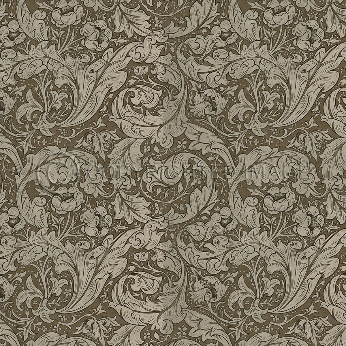 Bachelors Button Fawn 48x48