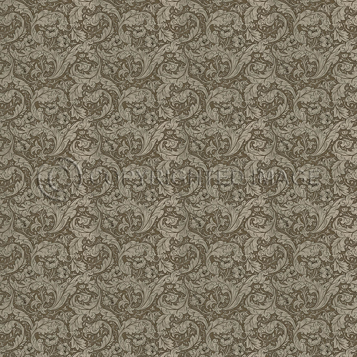 Bachelors Button Fawn 120x120