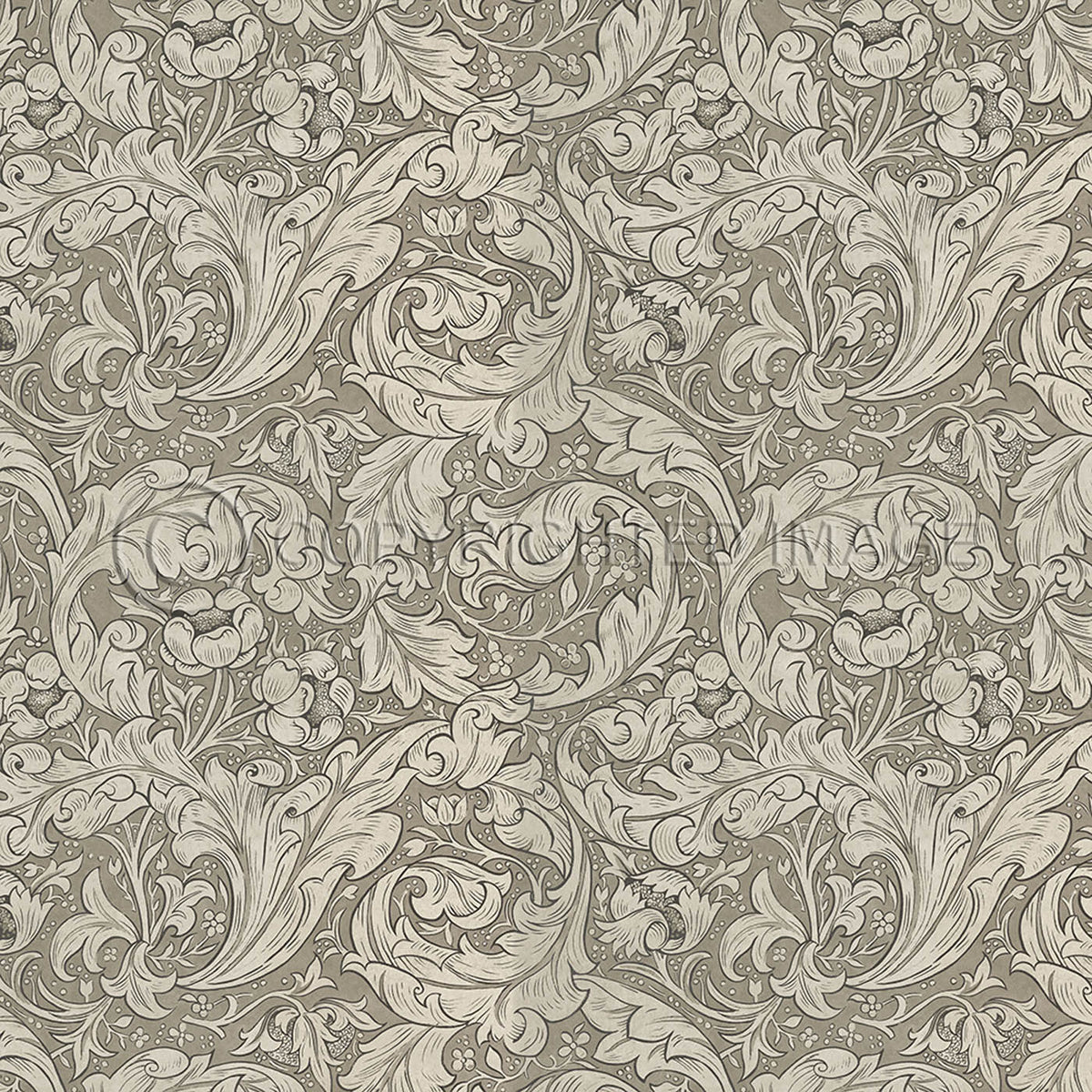 Bachelors Button Sandstone 48x48