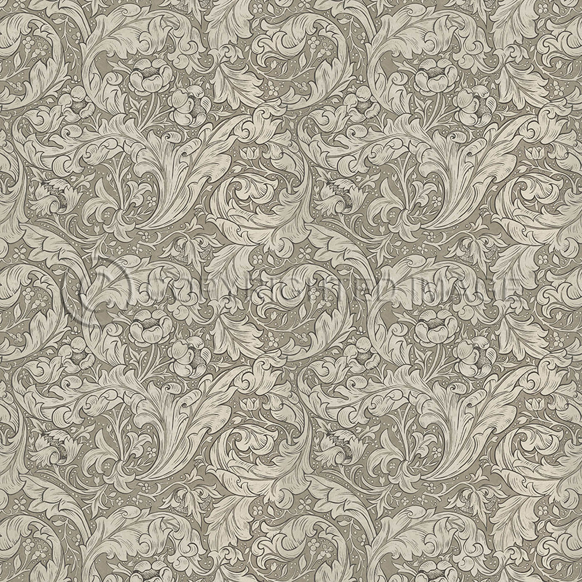 Bachelors Button Sandstone 60x60