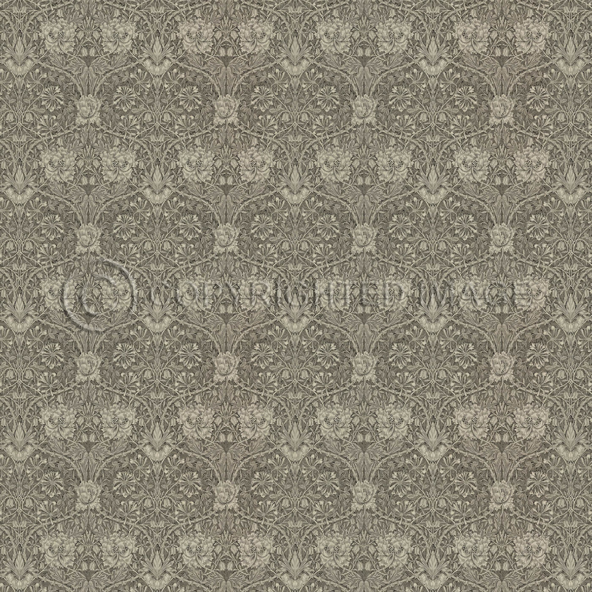 Honeysuckle and Tulip Birch Grey 60x60