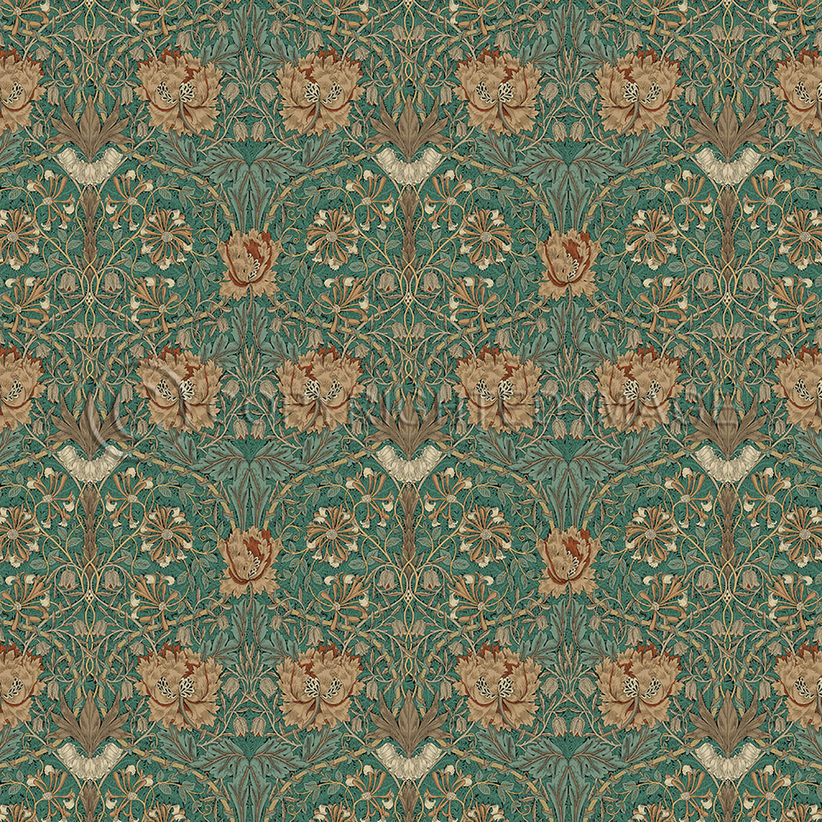 Honeysuckle and Tulip Privet 36x36