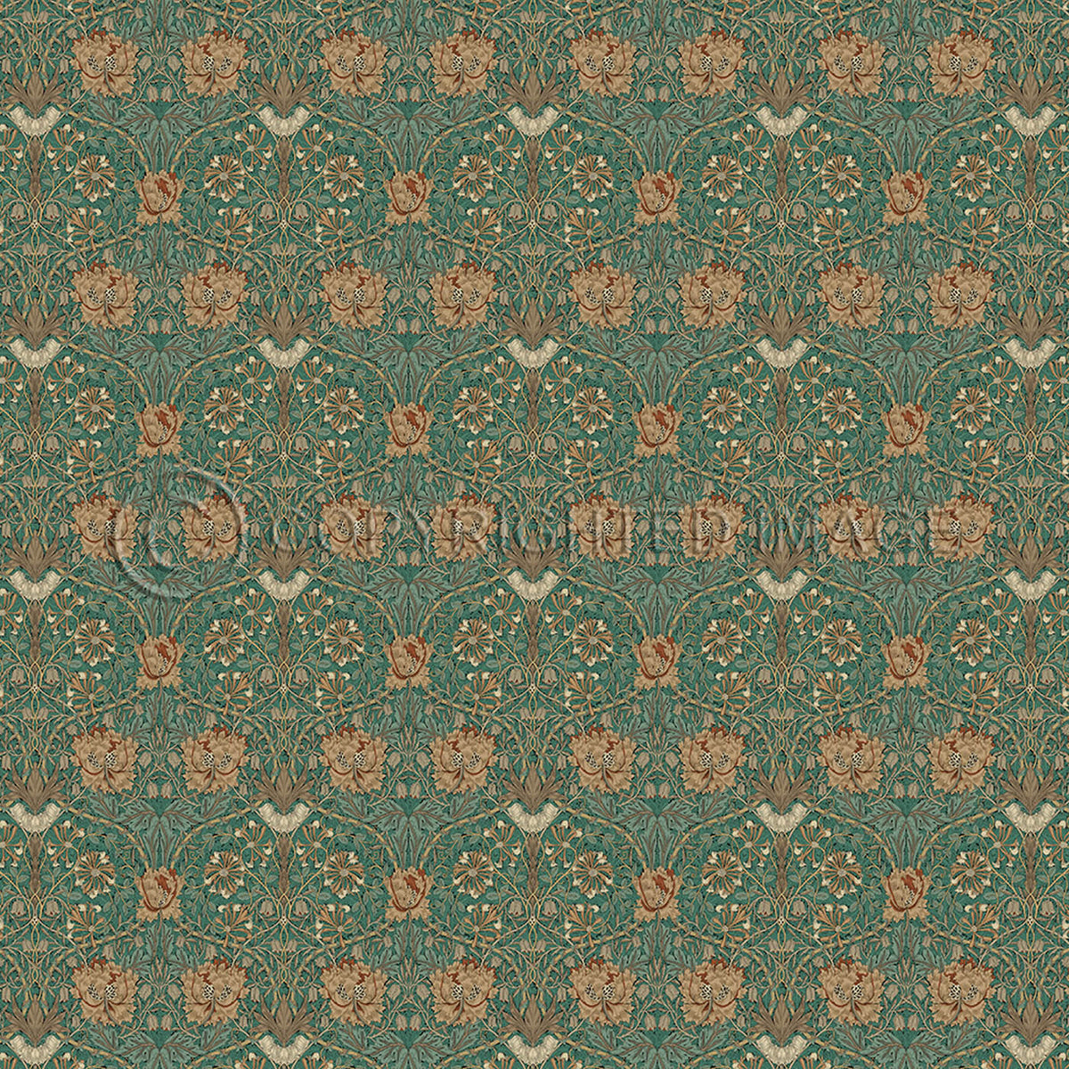 Honeysuckle and Tulip Privet 60x60