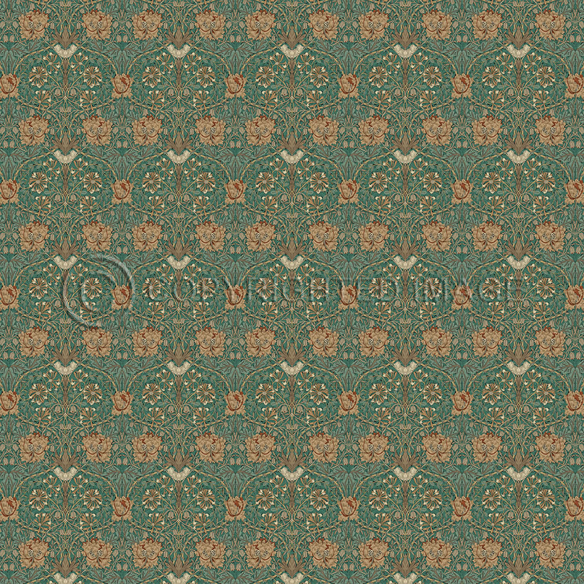 Honeysuckle and Tulip Privet 72x72