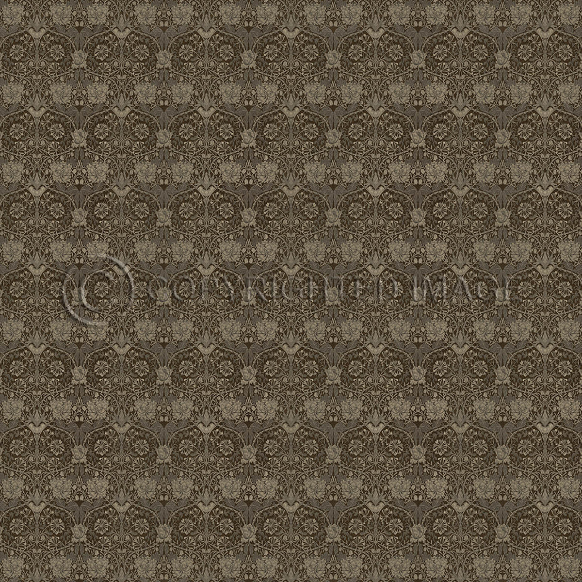 Honeysuckle and Tulip Sienna 96x96