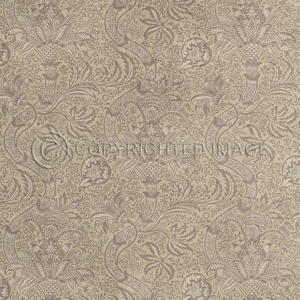 Indian Papyrus 60x60