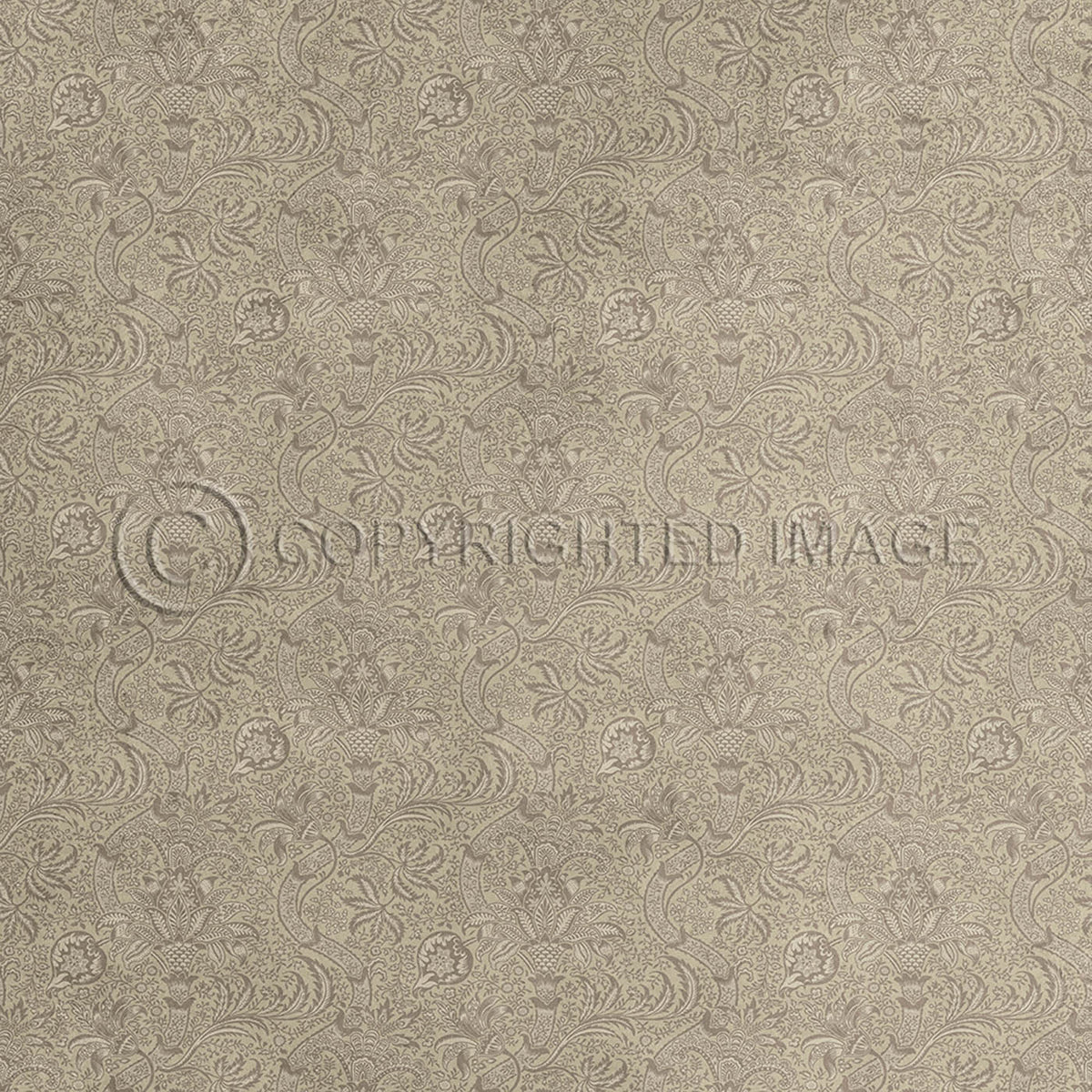 Indian Papyrus 120x120