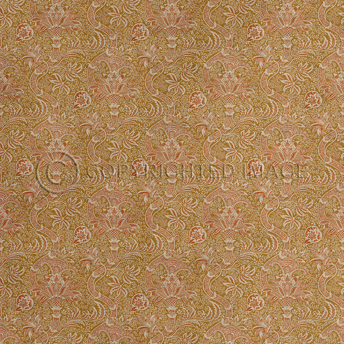 Indian Spice 120x120