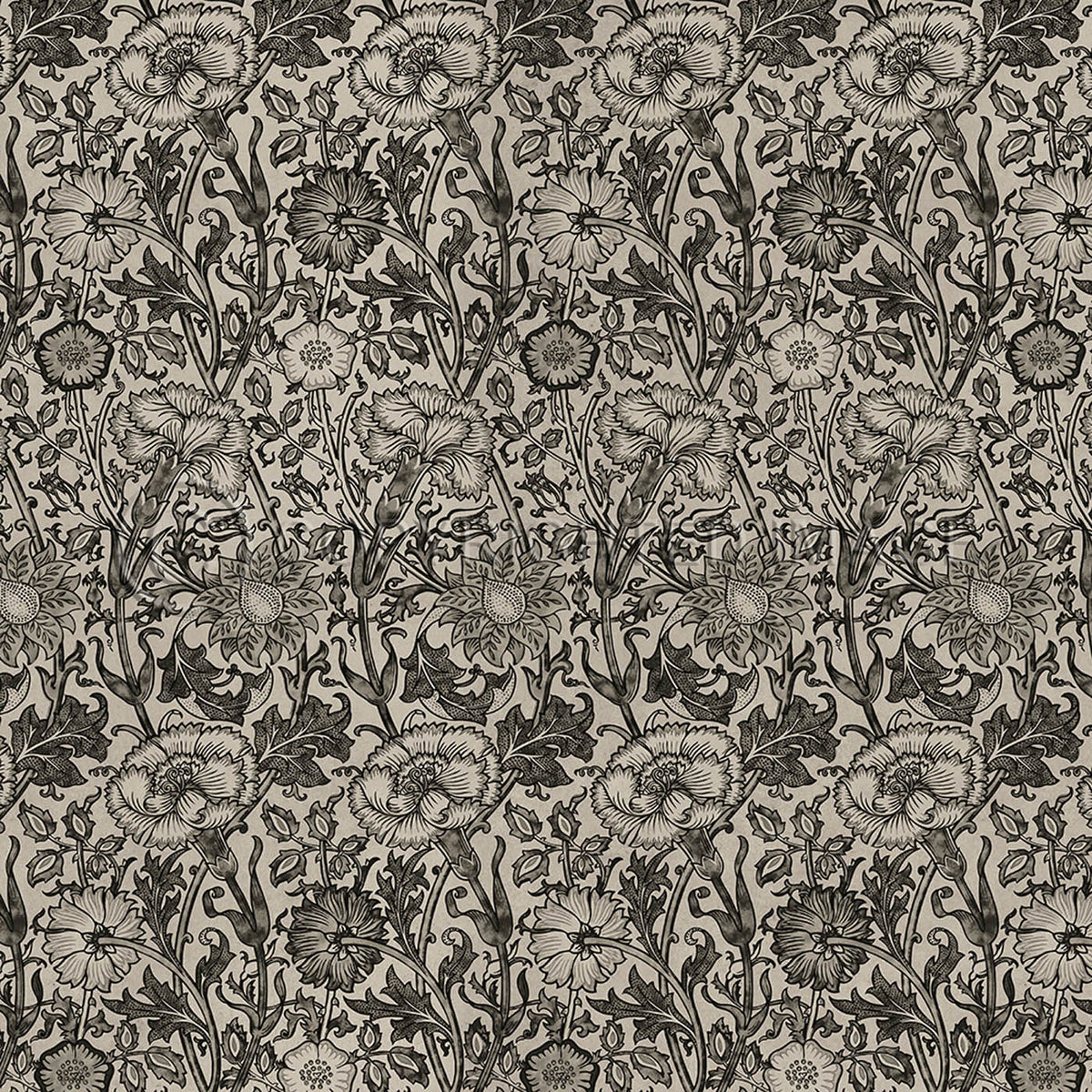 Pink and Rose Black and Dove 60x60