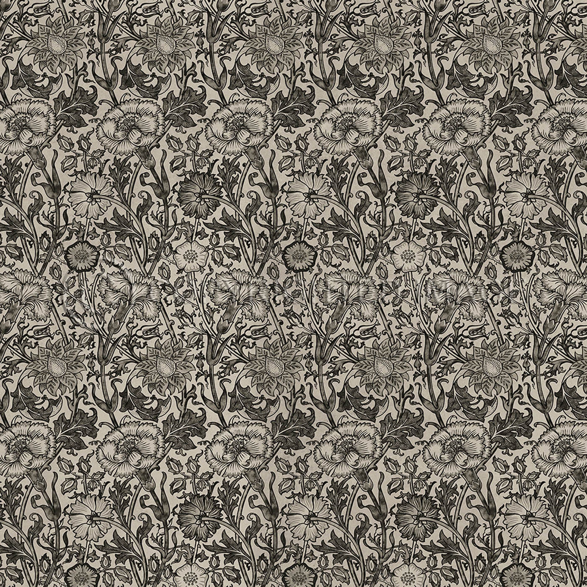 Pink and Rose Black and Dove 72x72