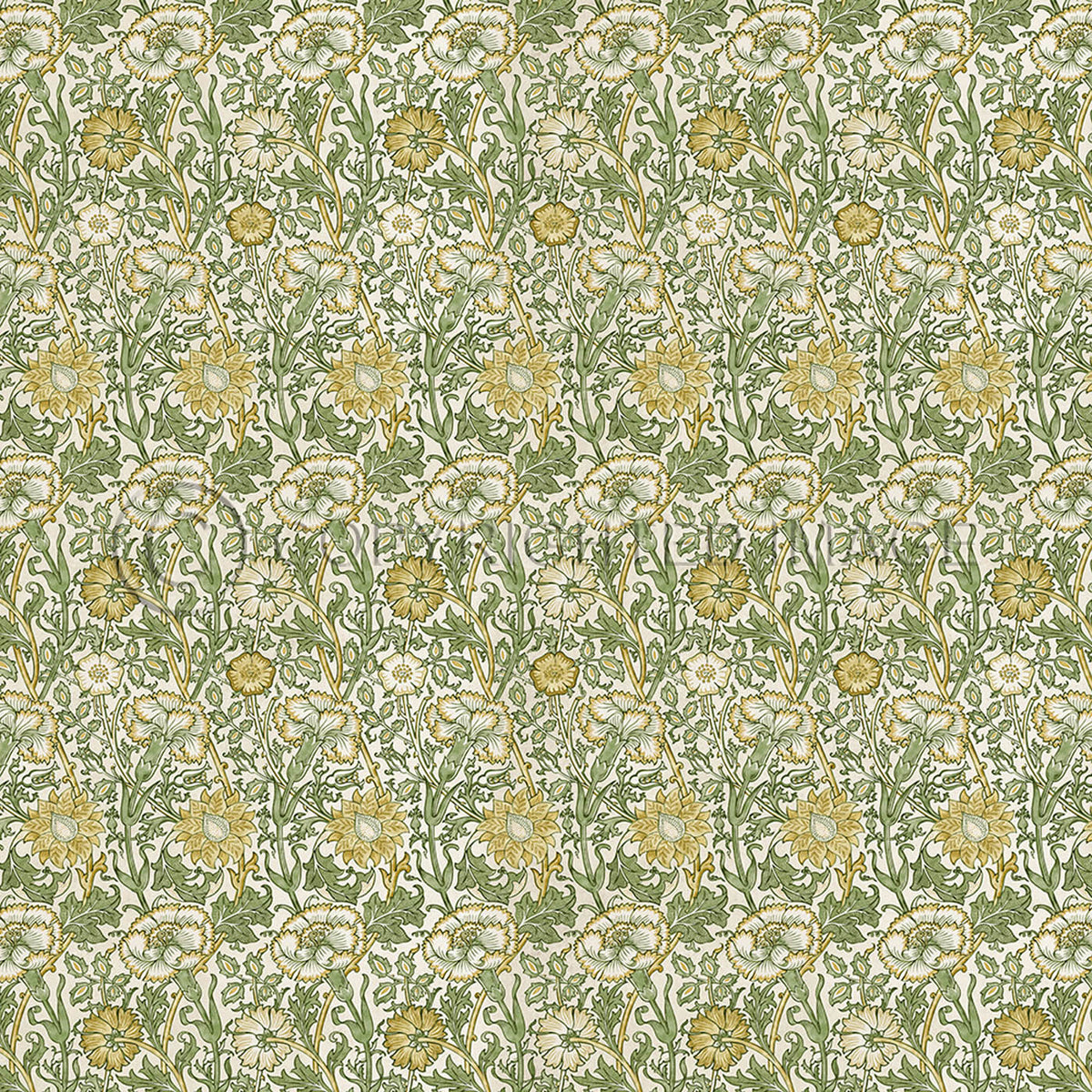 Pink and Rose Citrus and Fennel 96x96