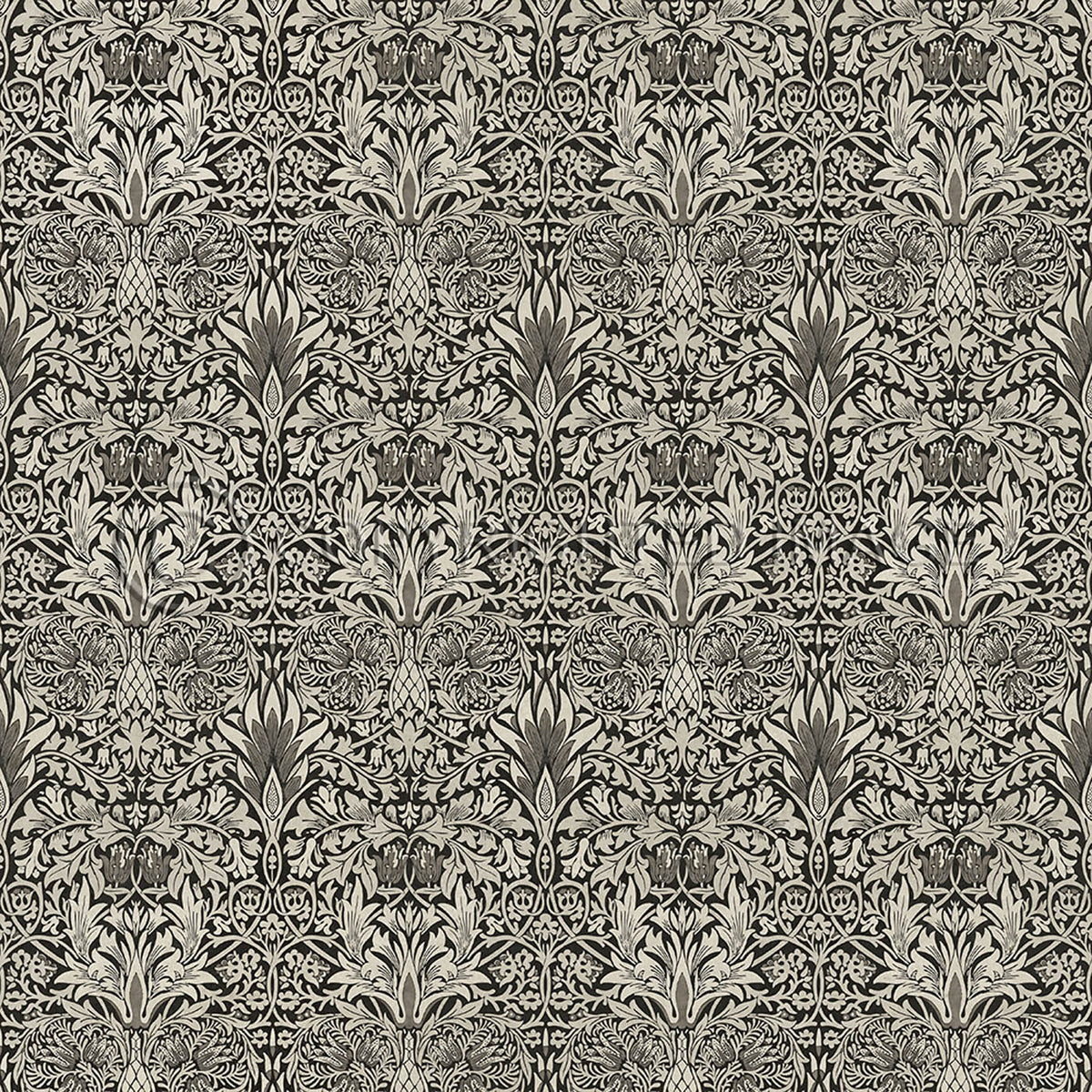 Snakeshead Black and Parchment 36x36