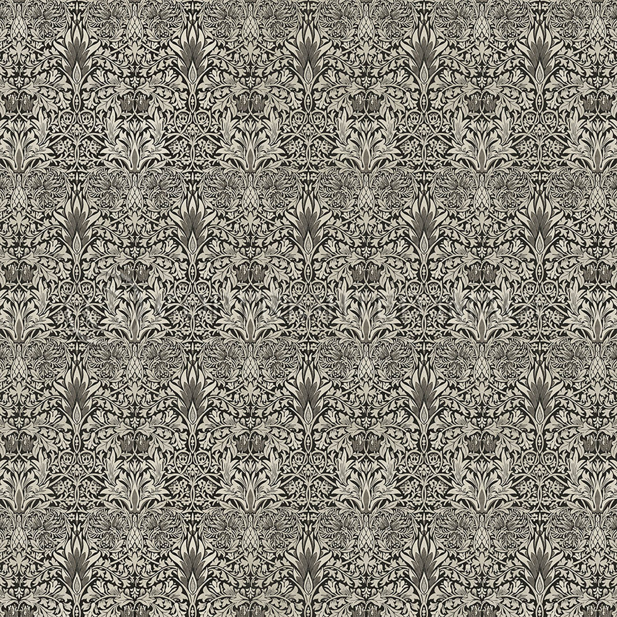 Snakeshead Black and Parchment 48x48