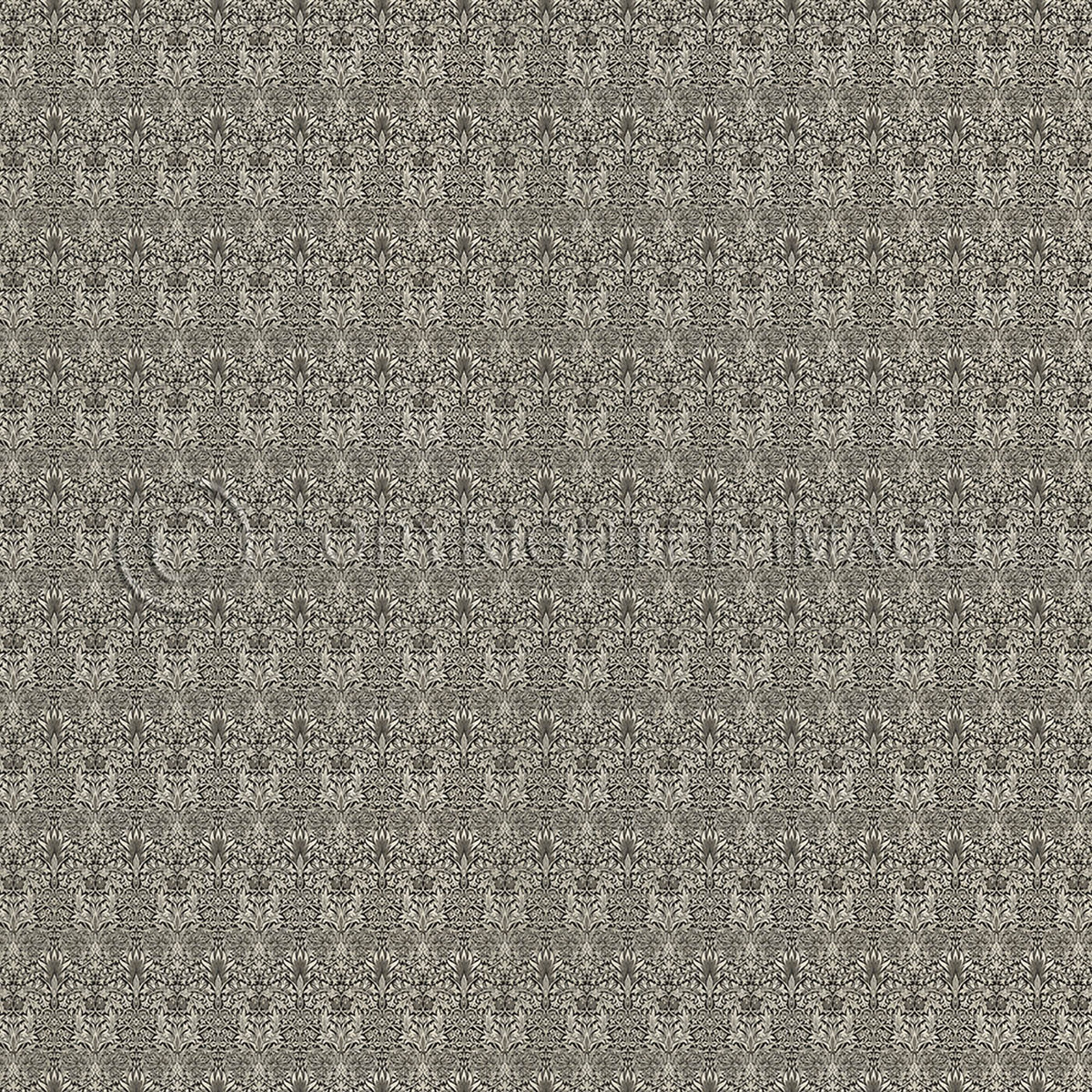 Snakeshead Black and Parchment 120x120