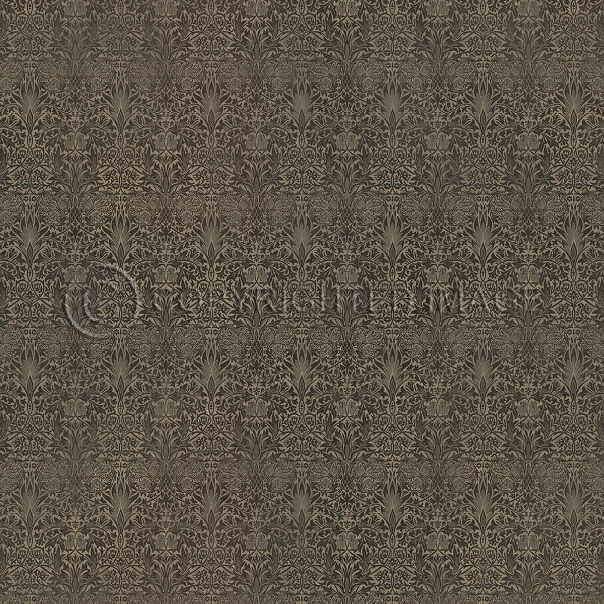 Snakeshead Chestnut 60x60