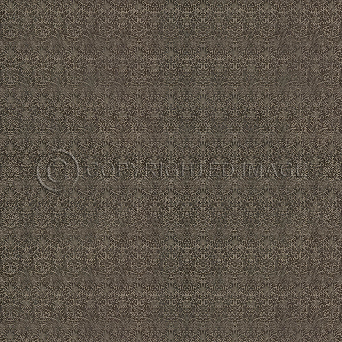 Snakeshead Chestnut 96x96