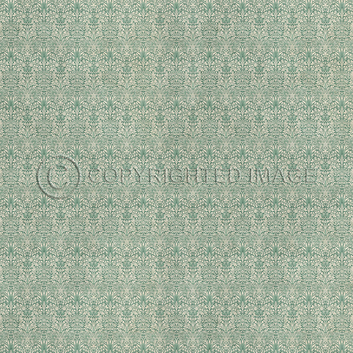 Snakeshead Jade 96x96