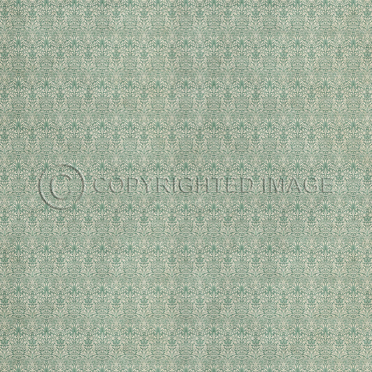 Snakeshead Jade 120x120