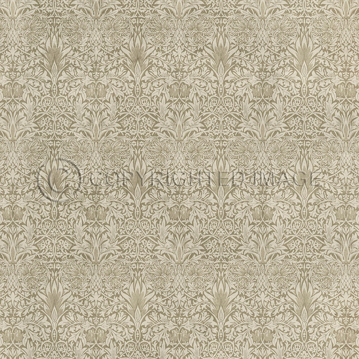 Snakeshead Sandstone 48x48