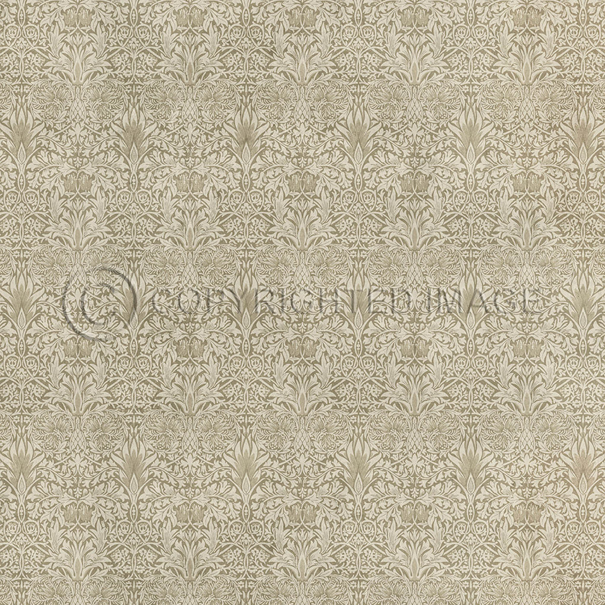 Snakeshead Sandstone 60x60