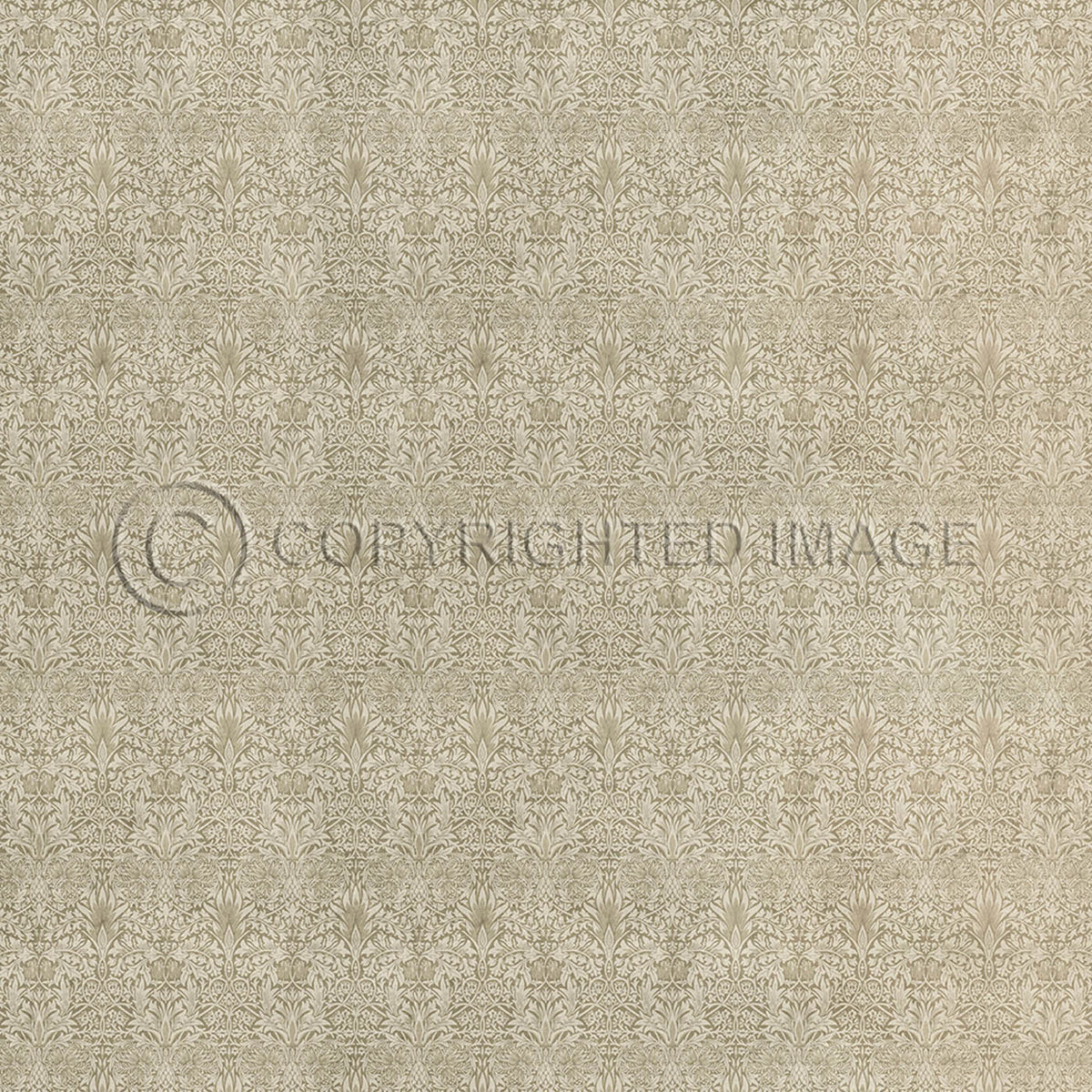 Snakeshead Sandstone 96x96