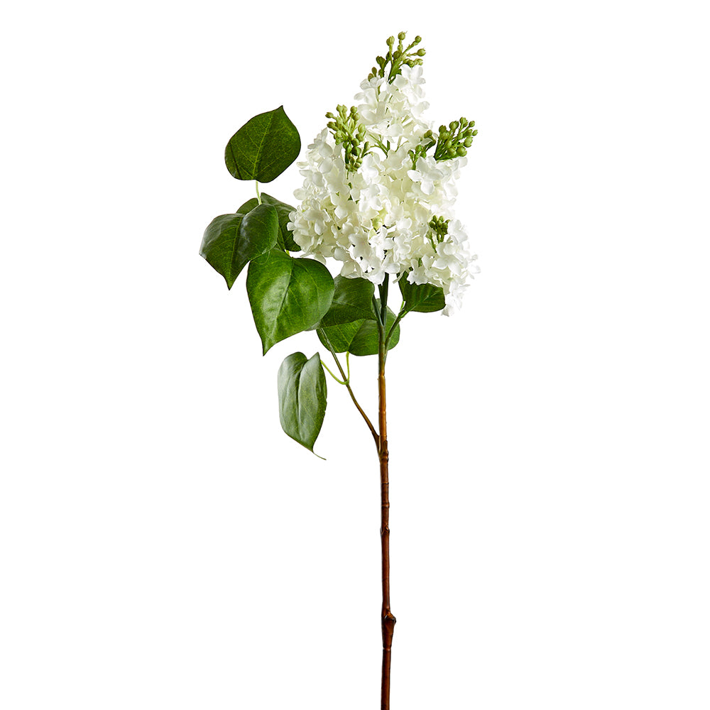 Lilac Stem White