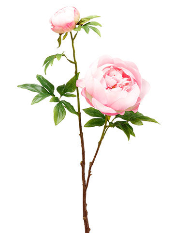 Peony Stem with Bud Pink
