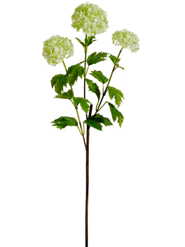 Snowball Spray - Green