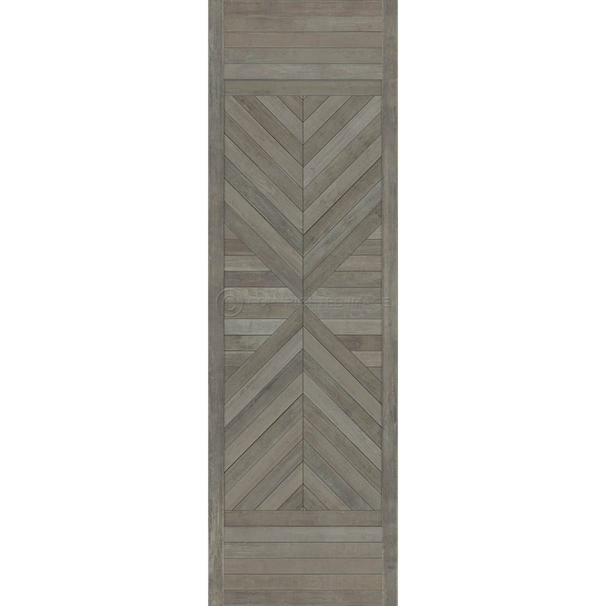 Hoia The Fault ofourScience 36x115