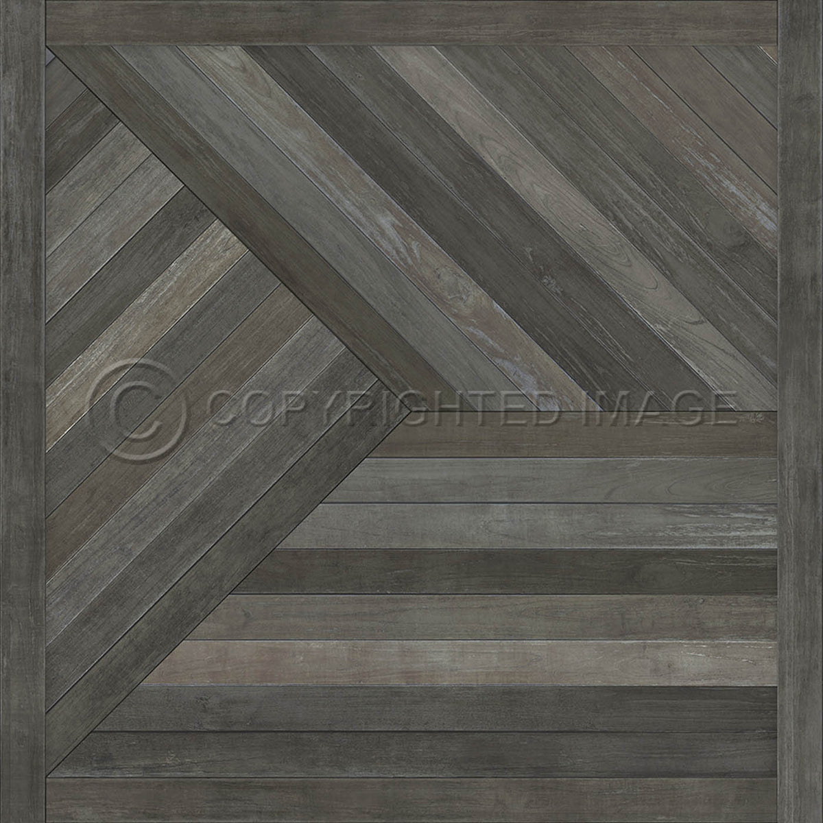 Mount Zeppelin Lost in aForest 48x48