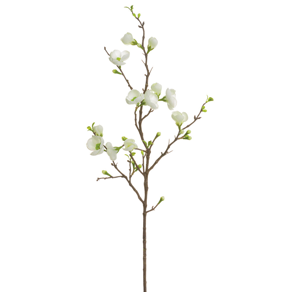 Quince Blossom Cream