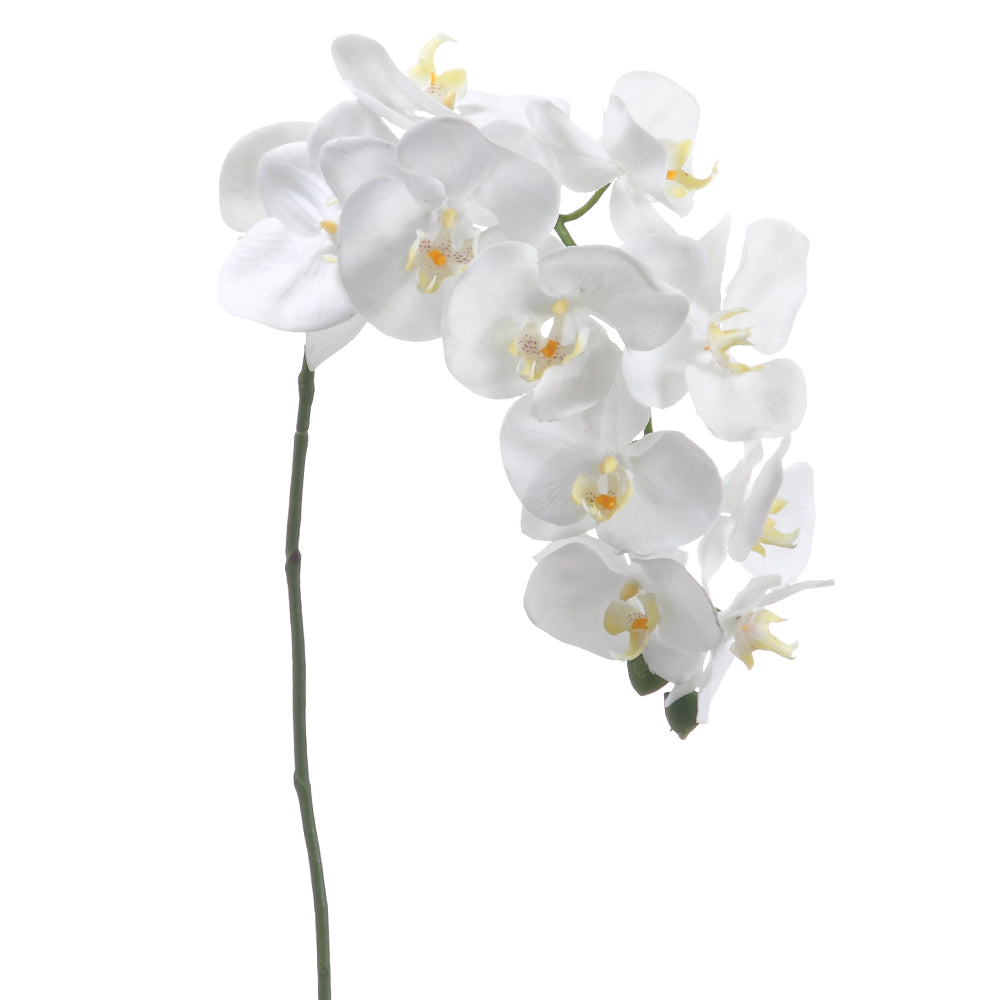 37" Phalaenopsis Orchid Stem White