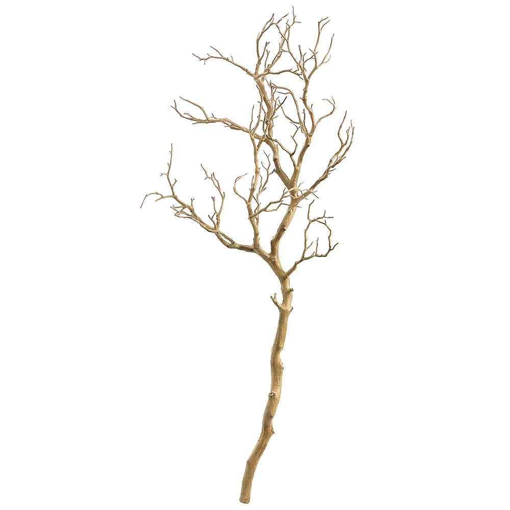 Manzanita Tree Branch