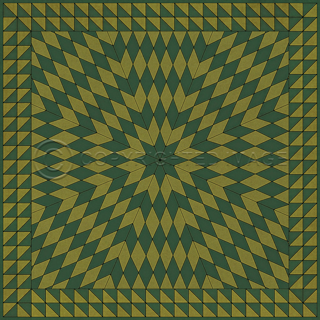 Sunburst Buffeting Gusts of Wind 70x102