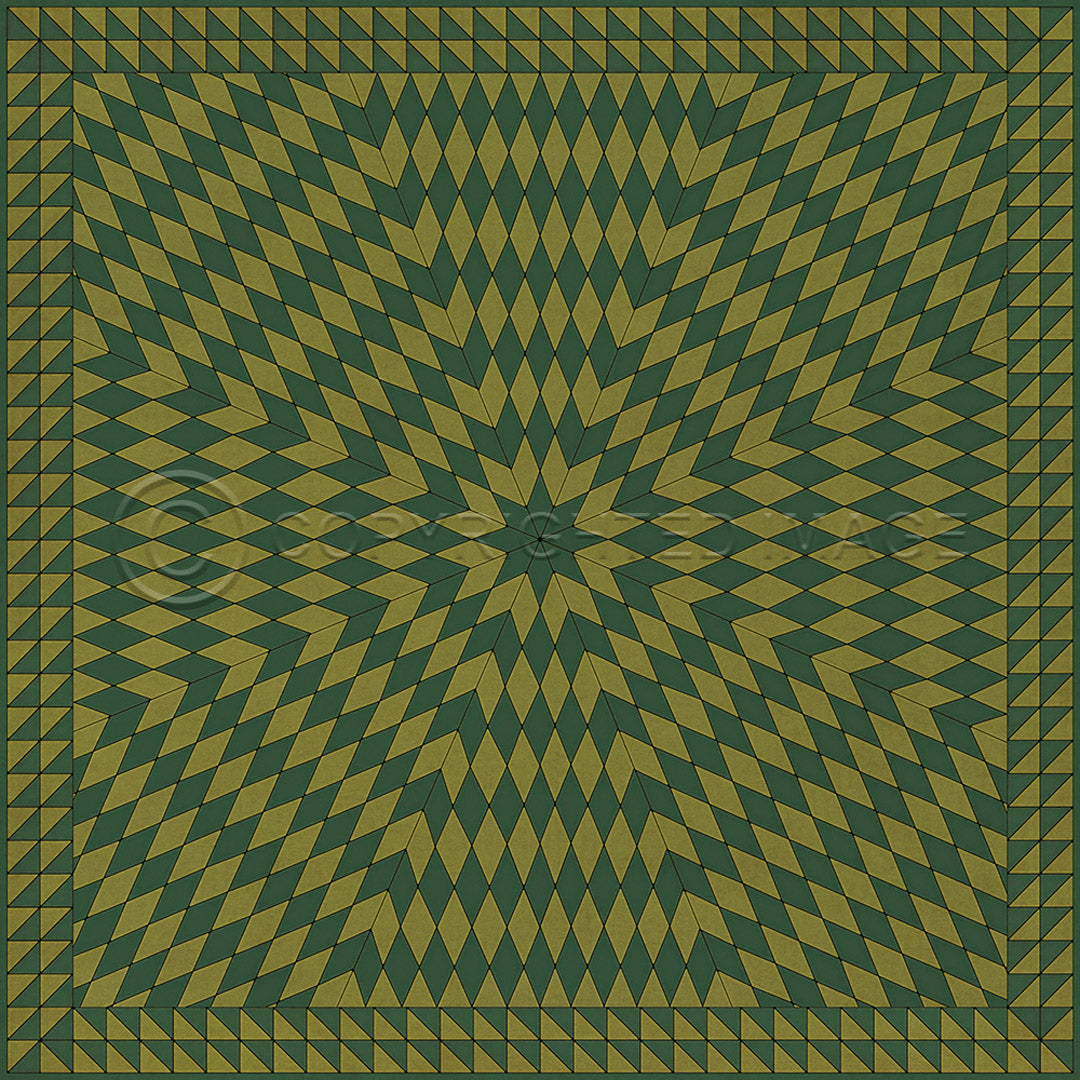 Sunburst Buffeting Gusts of Wind 120x175