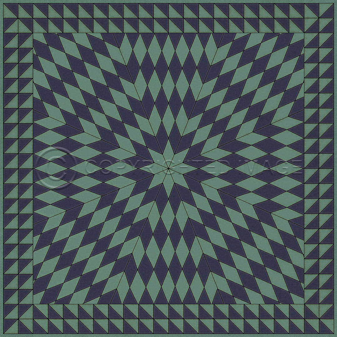 Sunburst Winter in the Shade