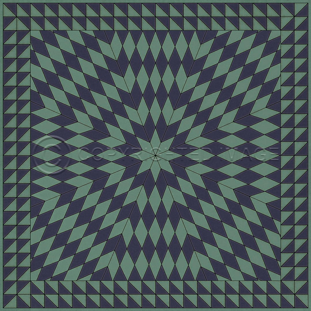 Sunburst Winter in the Shade