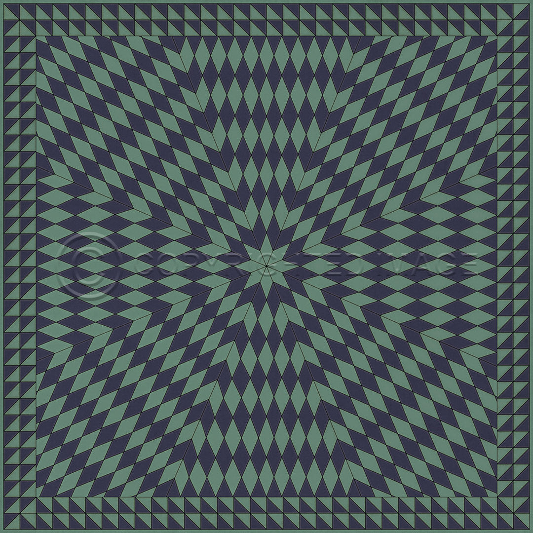 Sunburst Winter in the Shade