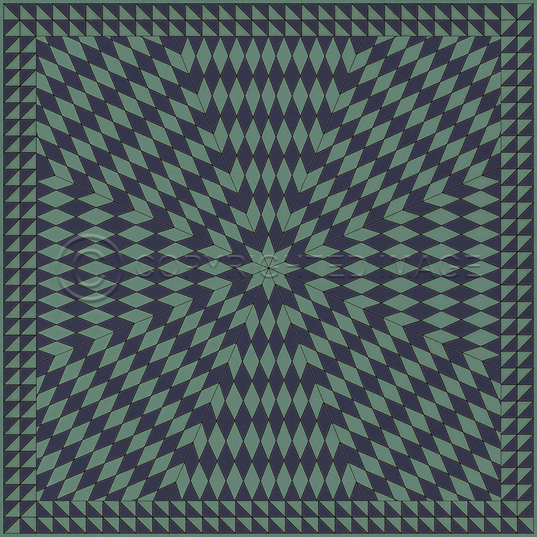 Sunburst Winter in the Shade