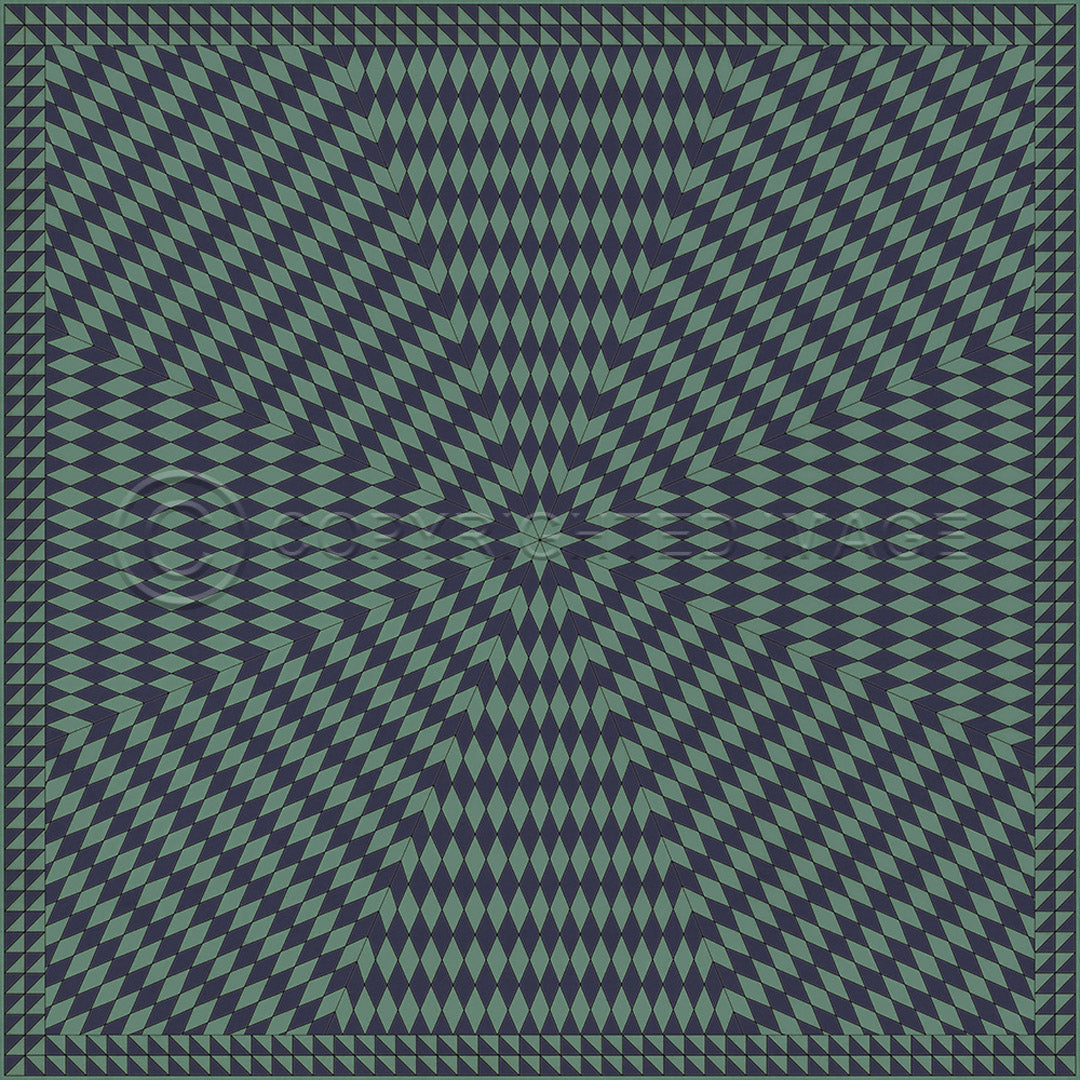 Sunburst Winter in the Shade