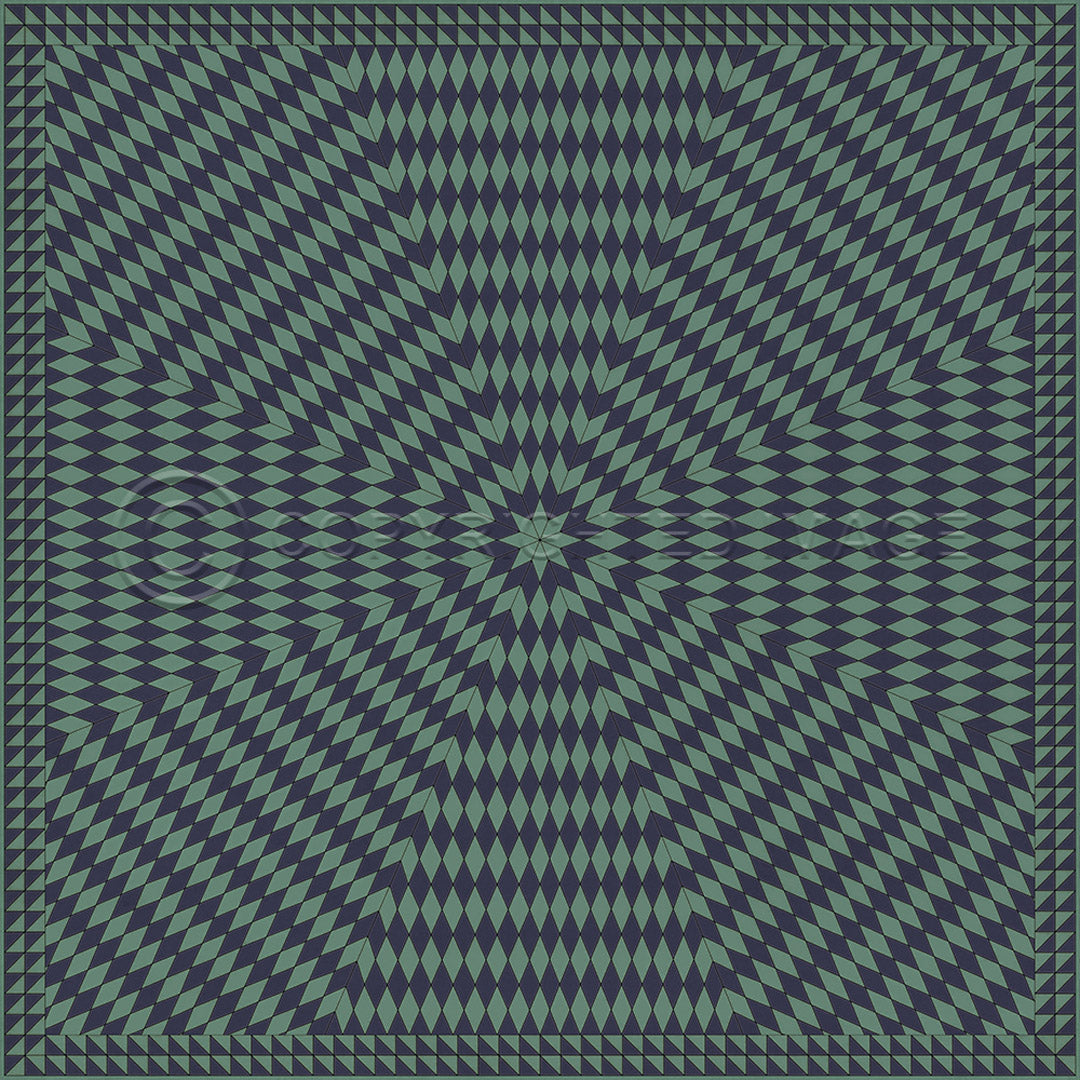 Sunburst Winter in the Shade