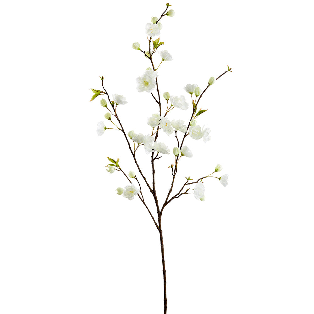 Cherry Blossom Stem